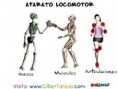 /album/fotogaleria-locomotor/images-3-jpg2/